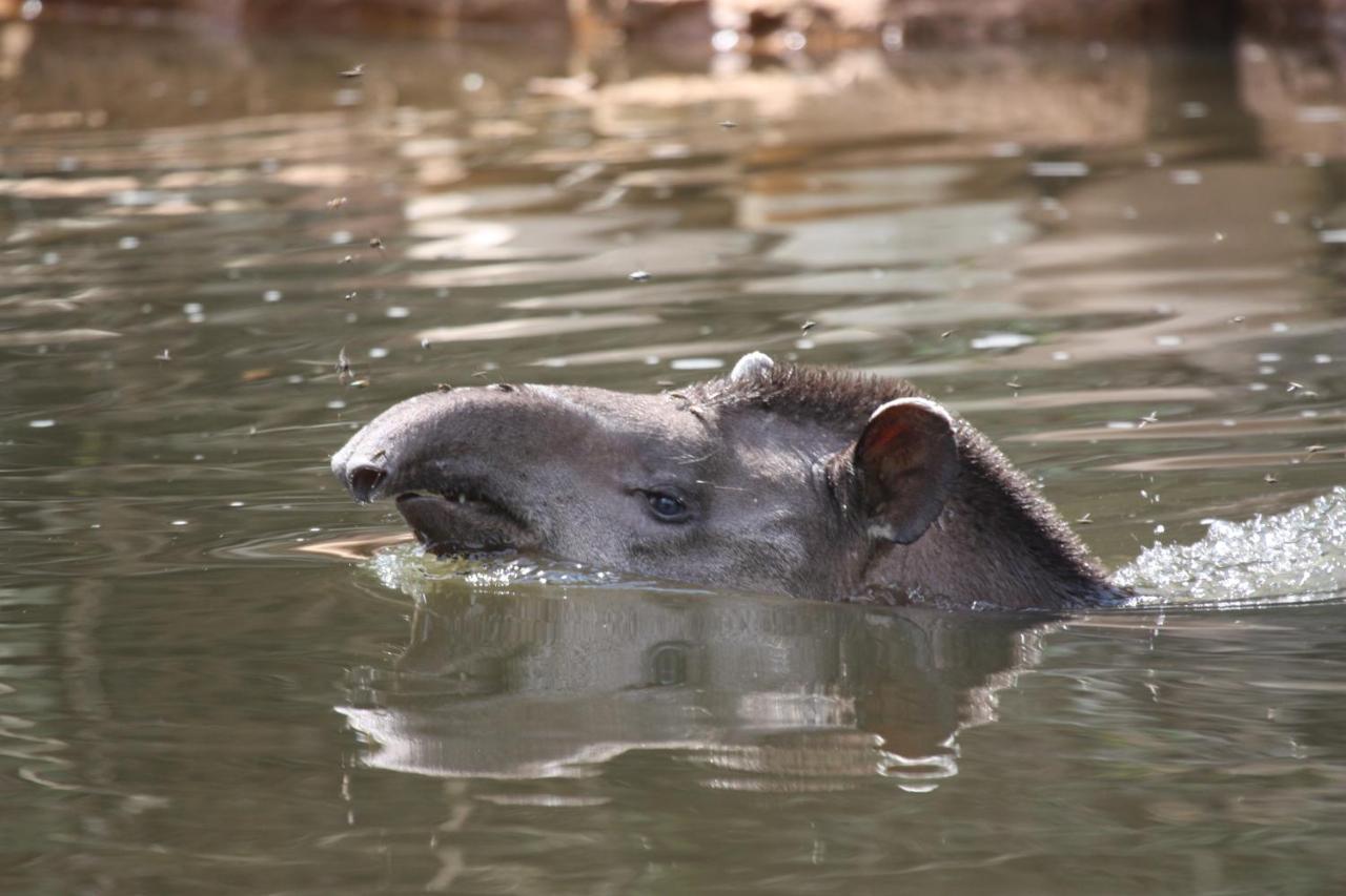 Wasai Tambopata Lodge 外观 照片