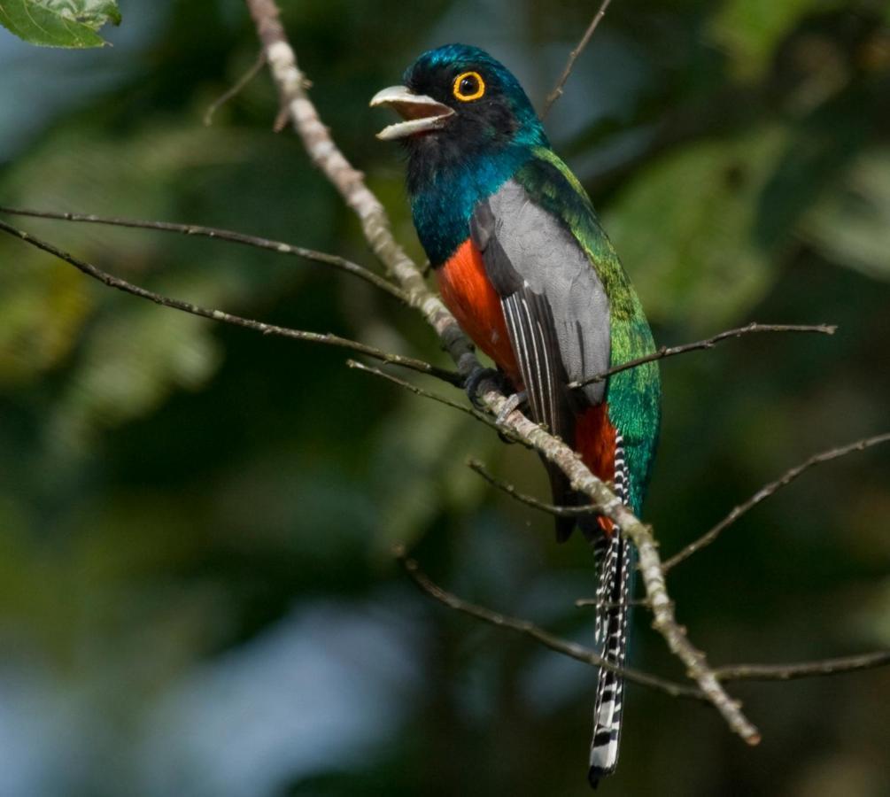 Wasai Tambopata Lodge 外观 照片